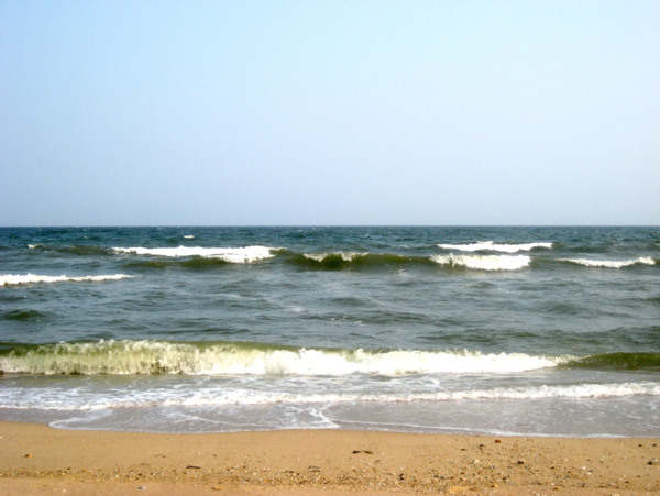 海景浪花图片