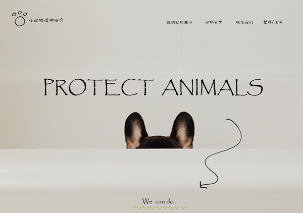 流浪动物保护网站