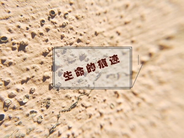 背景生命裂痕纹理banner