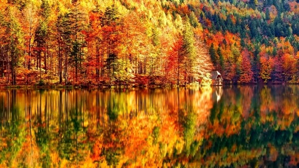 秋景倒影图片