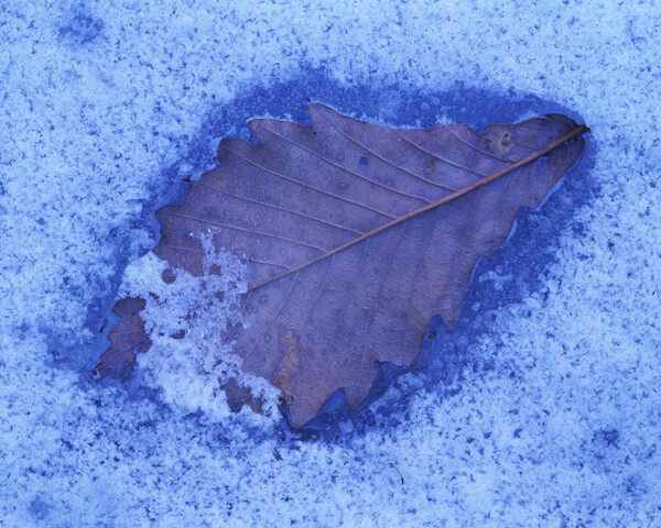 冬天雪景雪景大雪