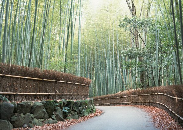 景区公路摄影图片