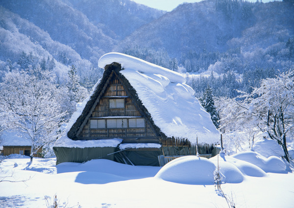 冬季风景