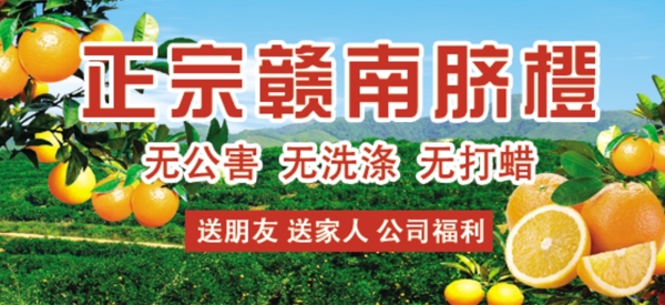 赣南脐橙banner