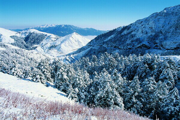 冬天雪景雪景大雪