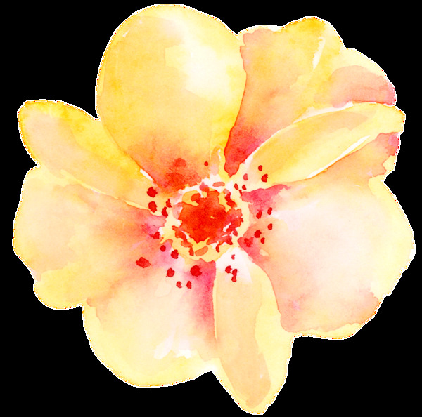馨香花卉卡通透明素材