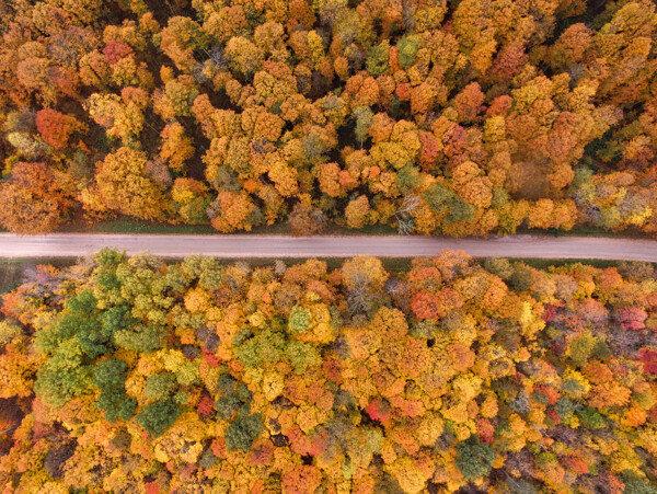 道路