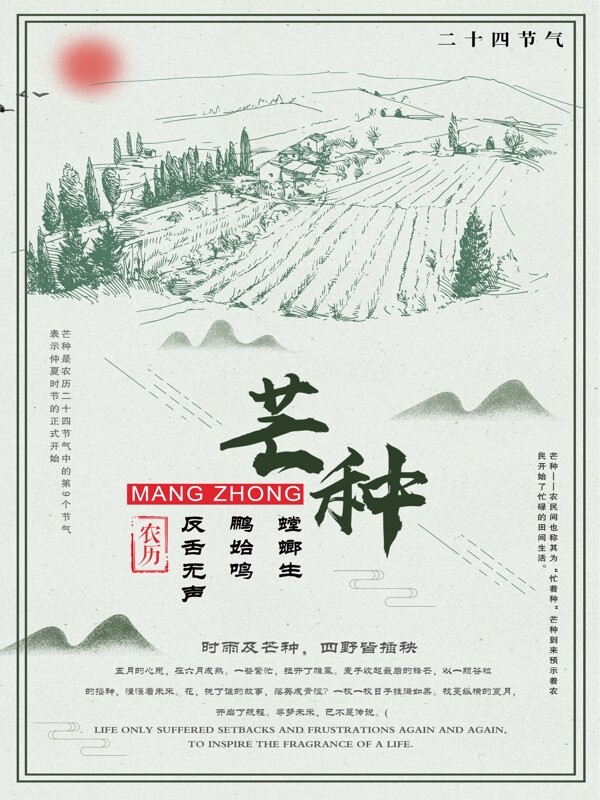 线描简约白色背景中国风芒种节气公益宣传展板