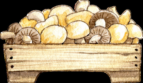 菌菇类食物透明装饰素材