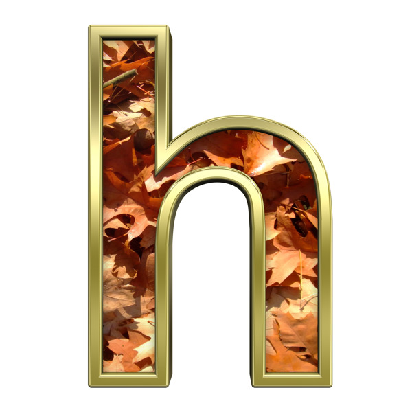 一个小写字母从秋天的金色字母集