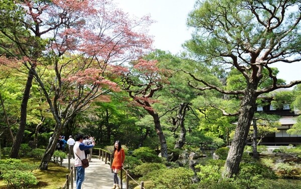 京都银阁寺图片
