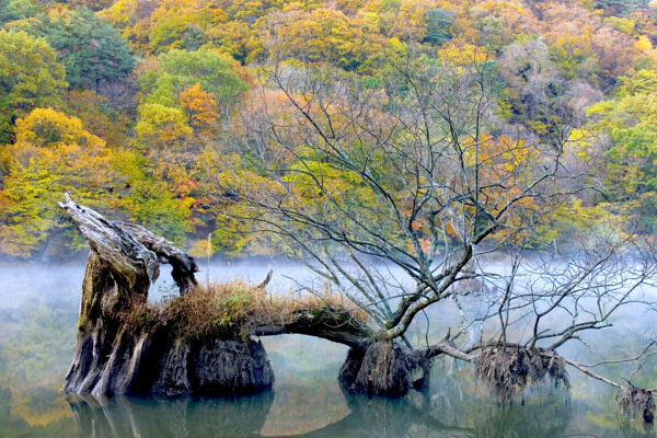 自然风景风景自然田园山水