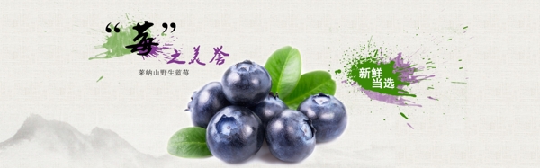 蓝莓淘宝海报