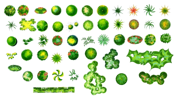 植物平面图图片