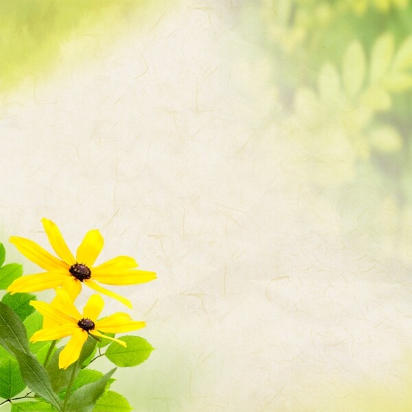 朦胧黄色小花背景