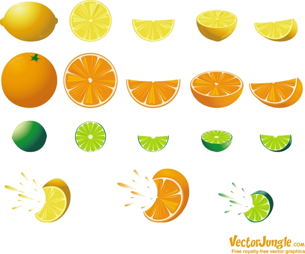 多汁的柑橘类水果矢量图标