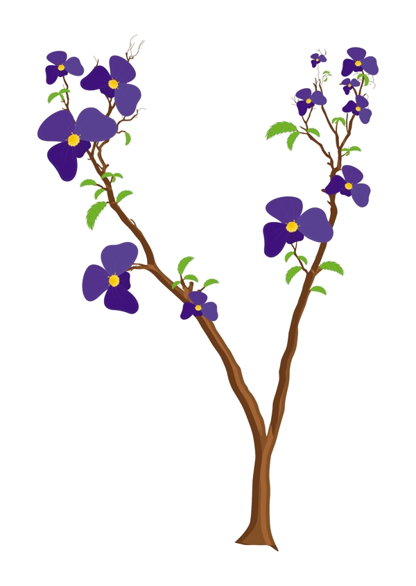 紫色的花的植物