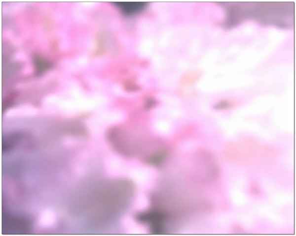 粉色云朵婚礼片头视频背景素材