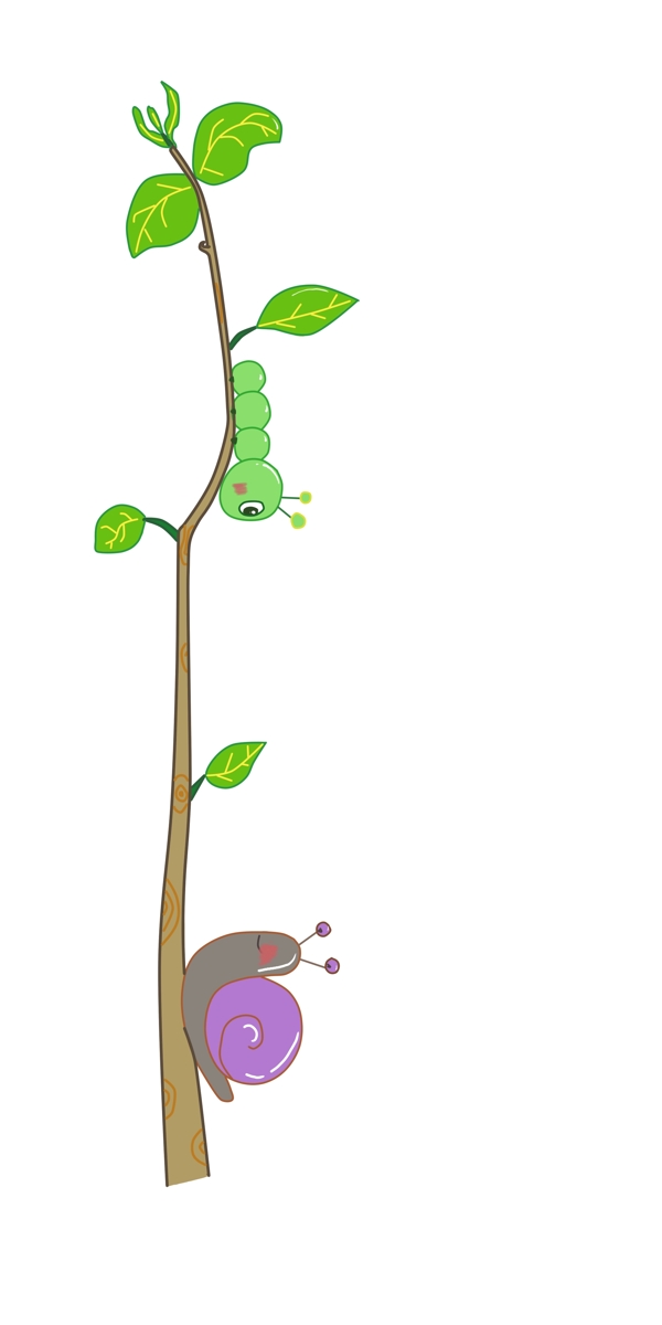 植物蜗牛分割线插画