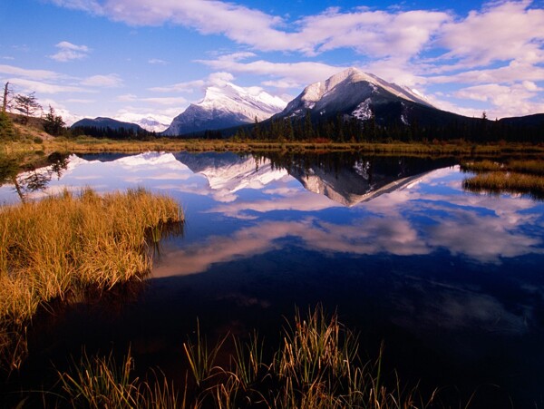 高山流水