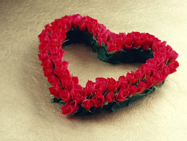 花的艺术浪漫的爱红色玫瑰花环并排花苞