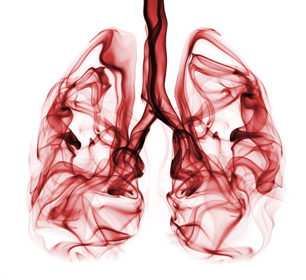 吸烟者的肺部素材图片