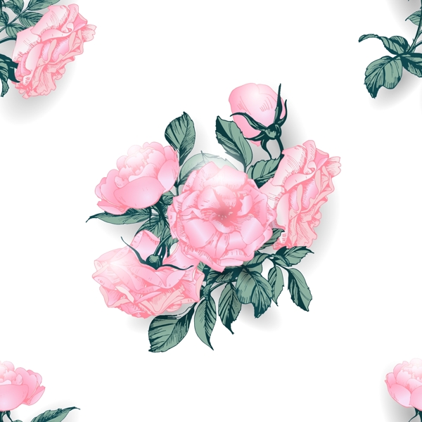 粉色月季玫瑰花朵矢量素材