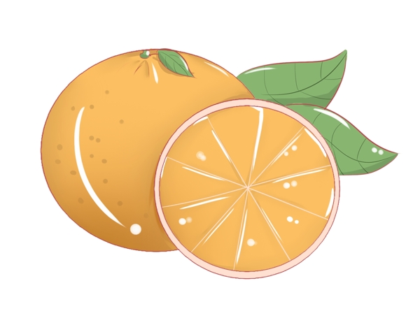 黄色新鲜橙子