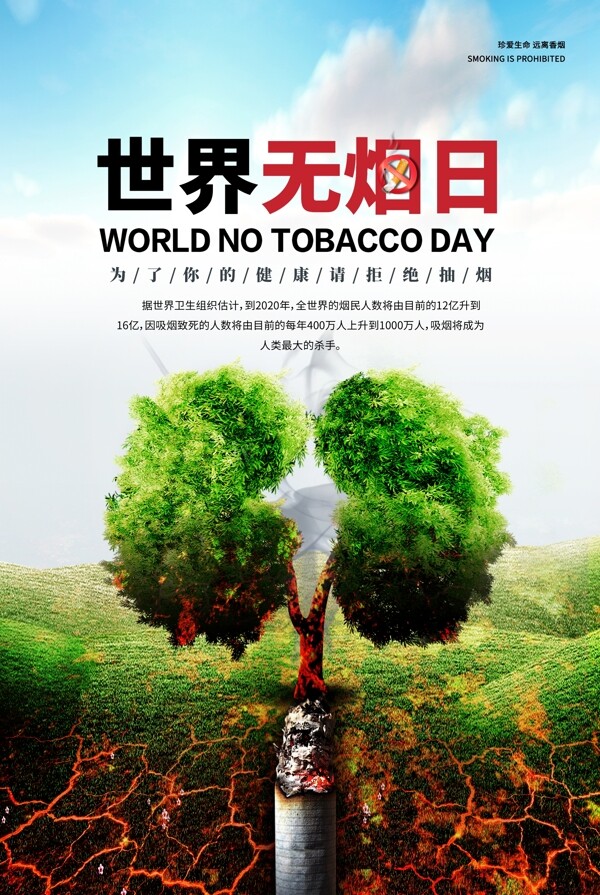 世界无烟日社会公益宣传海报