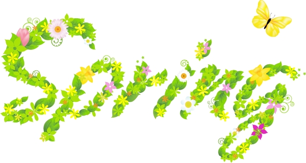 spring花体字