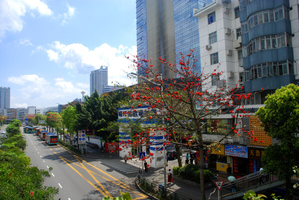 深圳街景图片