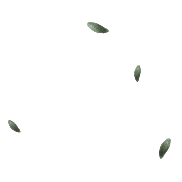 卡通漂浮的绿色树叶