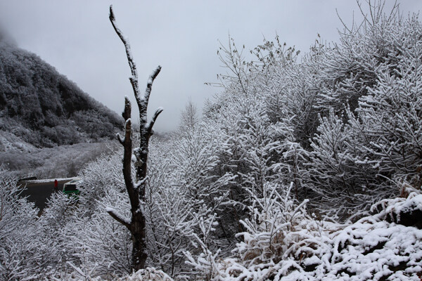 吉林长白山风景