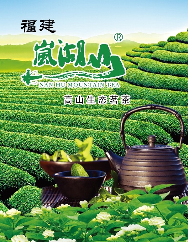 岚湖山茶海报图片
