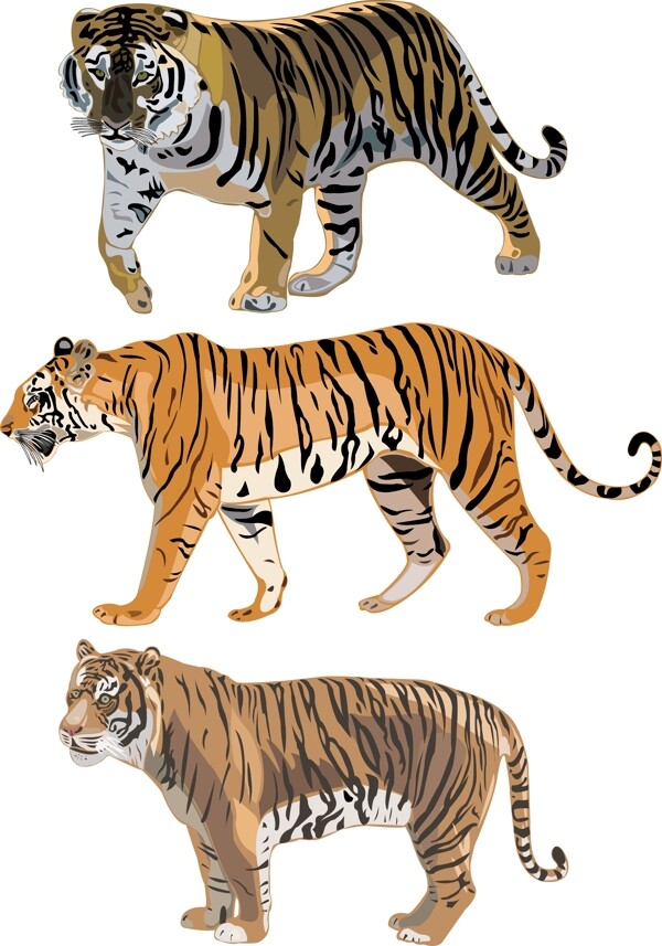老虎图案水彩画