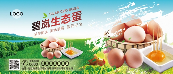 鸡蛋宣传海报