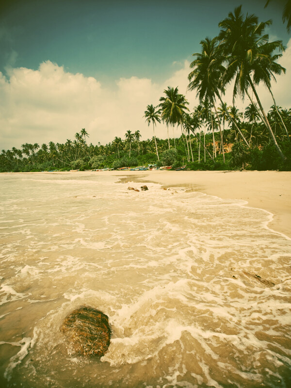 海浪椰子树风光图片