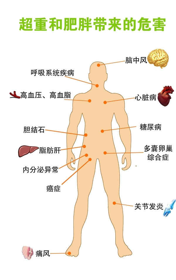 超重和肥胖带来的危害图片