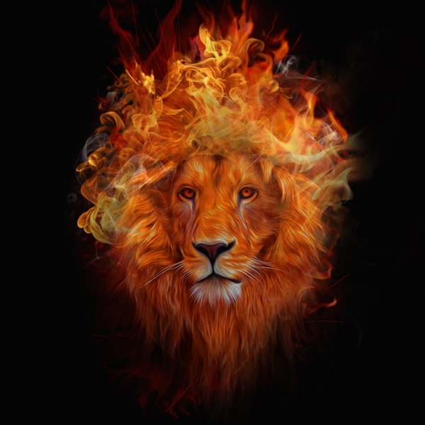 燃烧的狮子