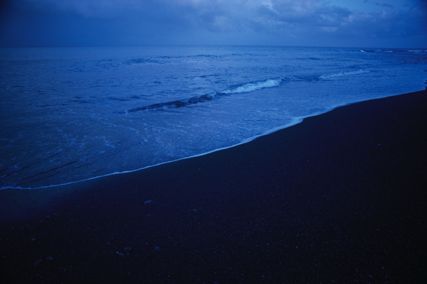 海滩夜景图片