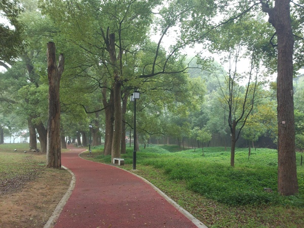 漳平榉子公园图片