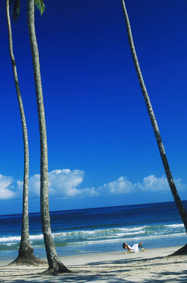 海边躺在椰子树下休息的人图片图片