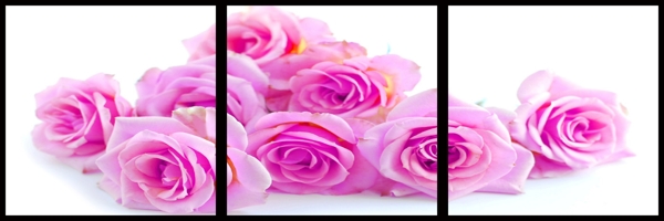 紫玫瑰装饰画图片