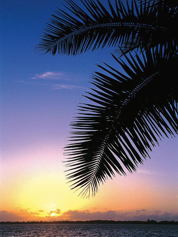 唯美海边夕阳风景图片
