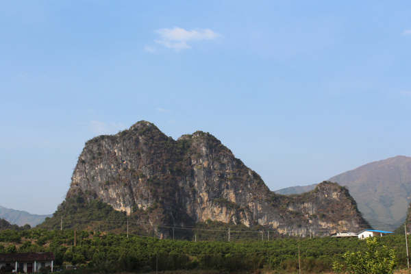 骆驼峰图片