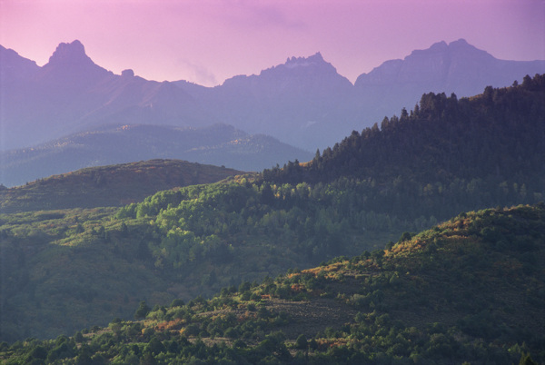 森林与山峰图片