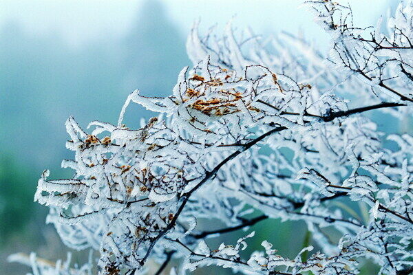 冬天雪景雪景大雪