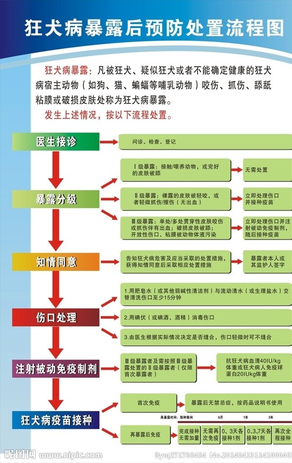 狂犬病处置流程图图片