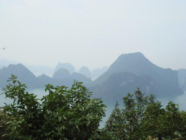 夏龙湾图片