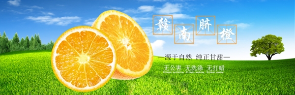 农林牧业banner设计